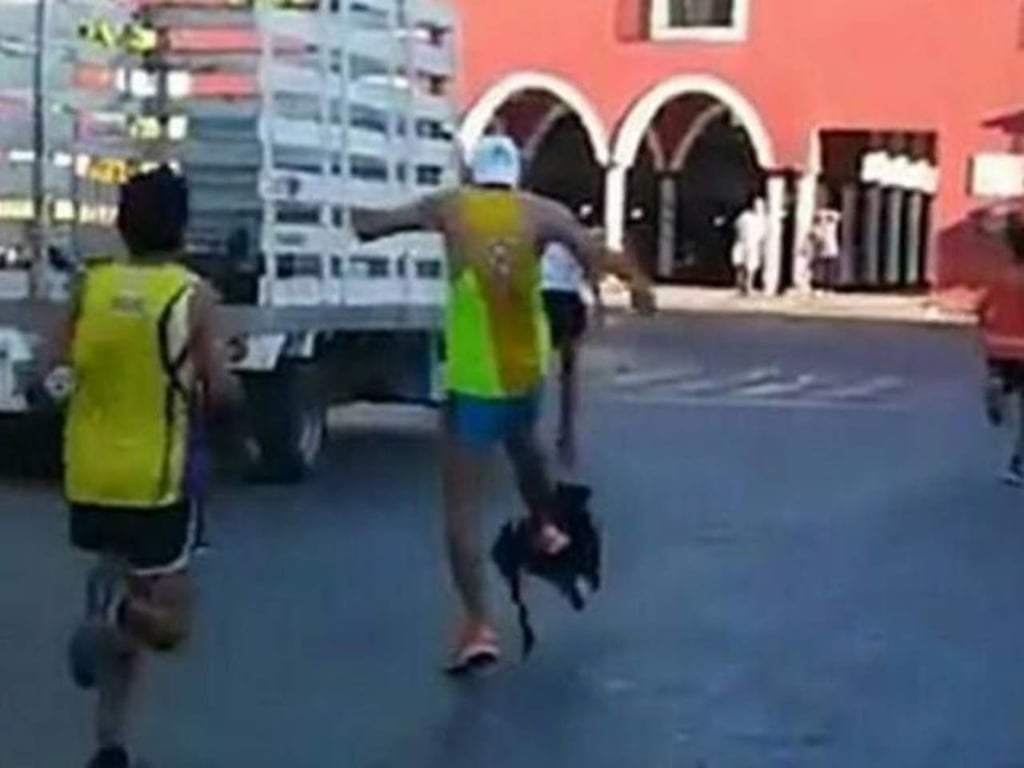 VIDEO: Corredor patea a un perro  en Yucatán