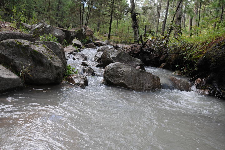 A otros estados, 97% del agua de Durango