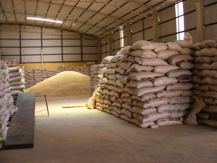 Sin medir, impacto por importación de frijol