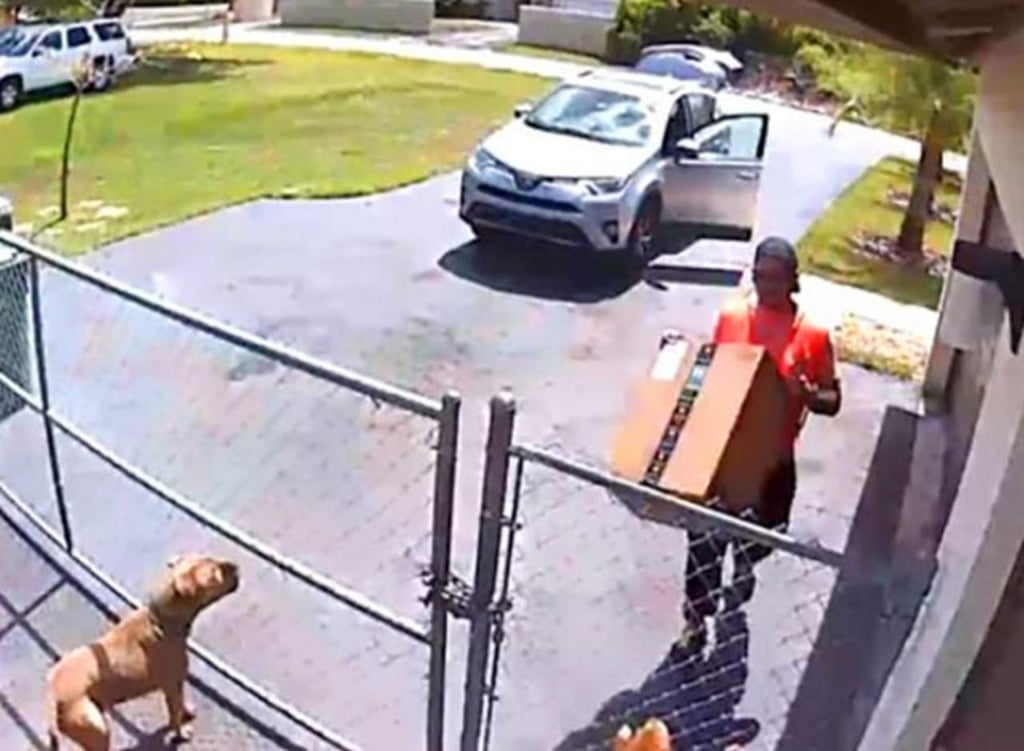 Repartidor de Amazon tira un paquete sobre un perro