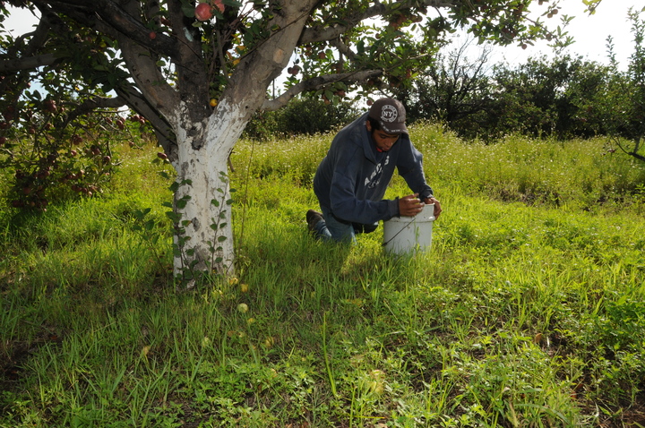 Alerta Delegado por ofertas de empleo