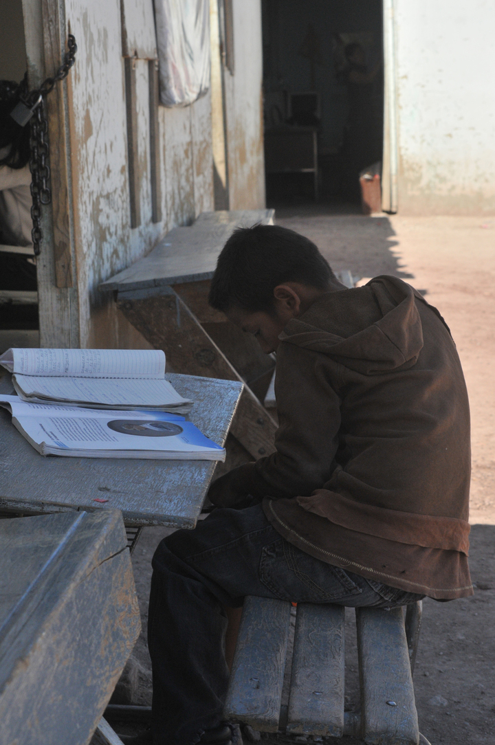 Detectan fallas en programas