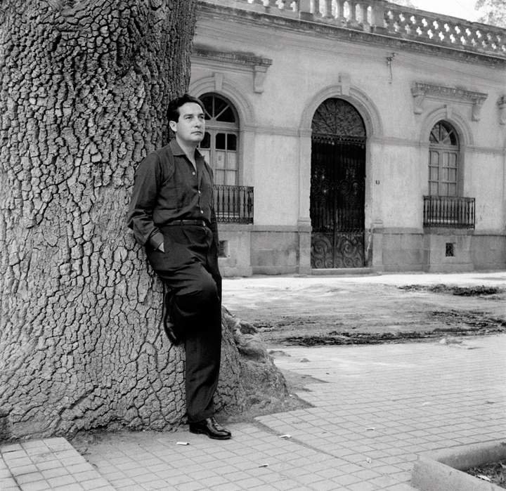 Octavio Paz entre los altos árboles de su poesía