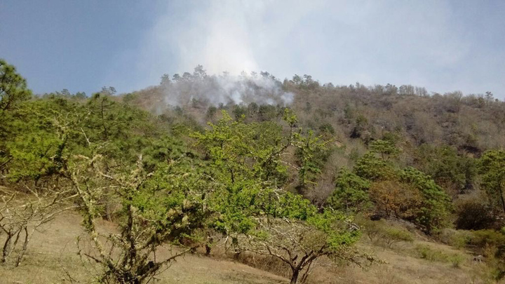 Incendios dañan 1,780 hectáreas