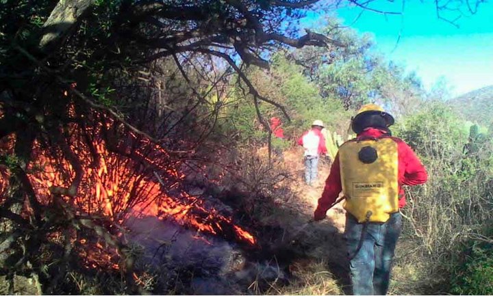 Requieren helicóptero contra incendios