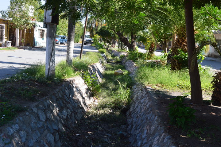 Retiran 38 toneladas  de basura de acequia