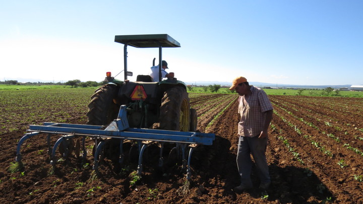 Anuncian seguro para productores