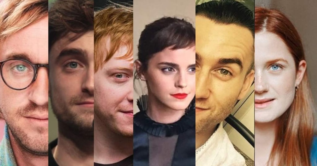 ¿Qué hacen ahora los protagonistas de Harry Potter?