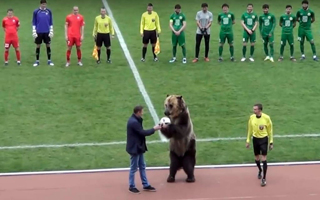 Critican empleo de oso antes de partido de futbol en Rusia