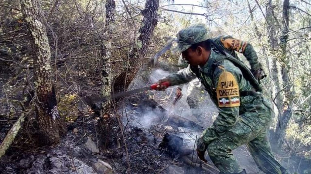 Incendio forestal consume cerca de 20 hectáreas en Nuevo León