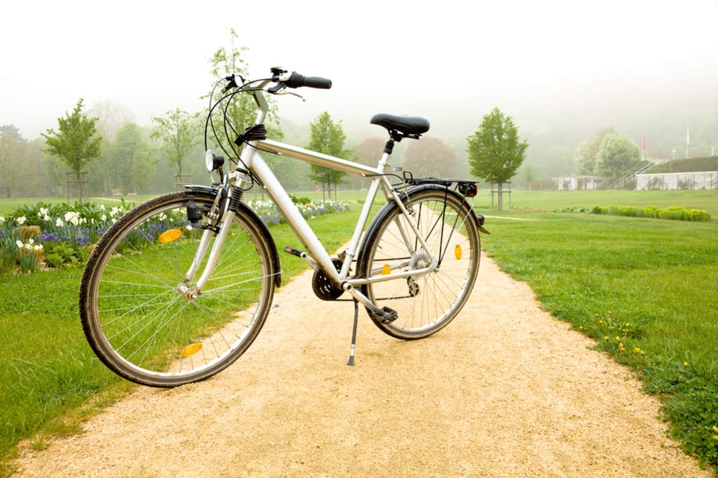 Ventajas ambientales de usar una bicicleta