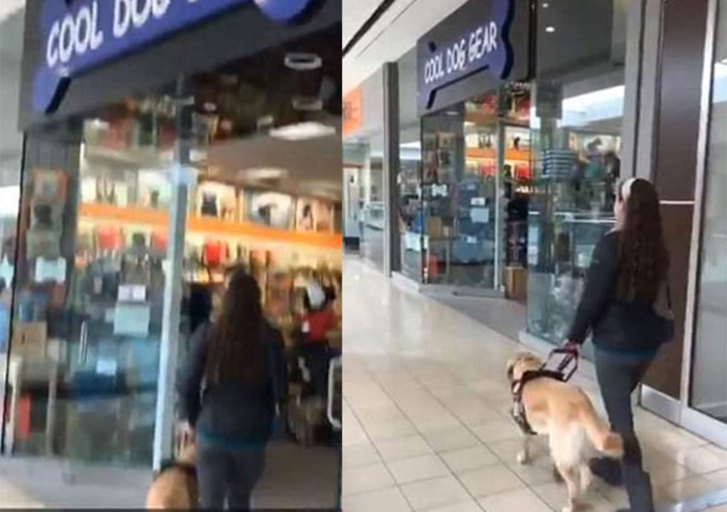 Perro guía mete a su dueña invidente a tienda de mascotas