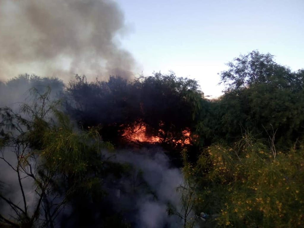 Provocan dos nuevos incendios, ahora en el Parque Raymundo de Lerdo