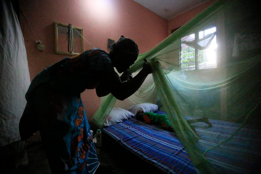 Hallan cómo aumentar niveles de fármaco contra la malaria en el mundo