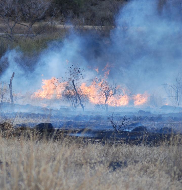 Durango, quinto estado con mayor superficie afectada por incendios forestales