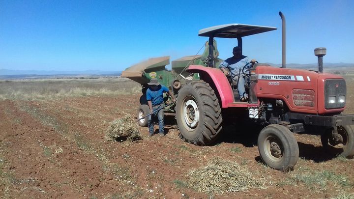 Desconfían de seguro agrícola