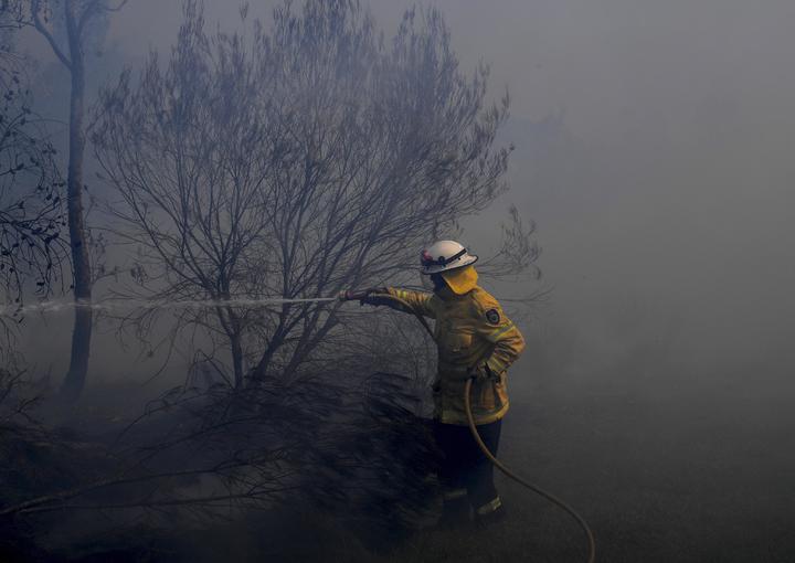 Hay siete incendios activos en Durango