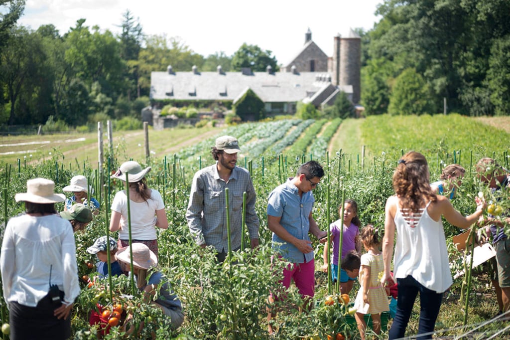 Comer mejor sin culpa