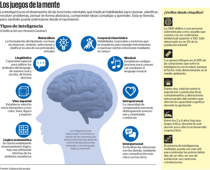 Nuevas pistas para desarrollar la herencia más preciada: la inteligencia