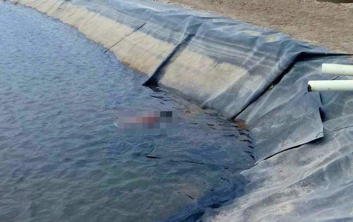 Hallan cadáver en estanque de rancho