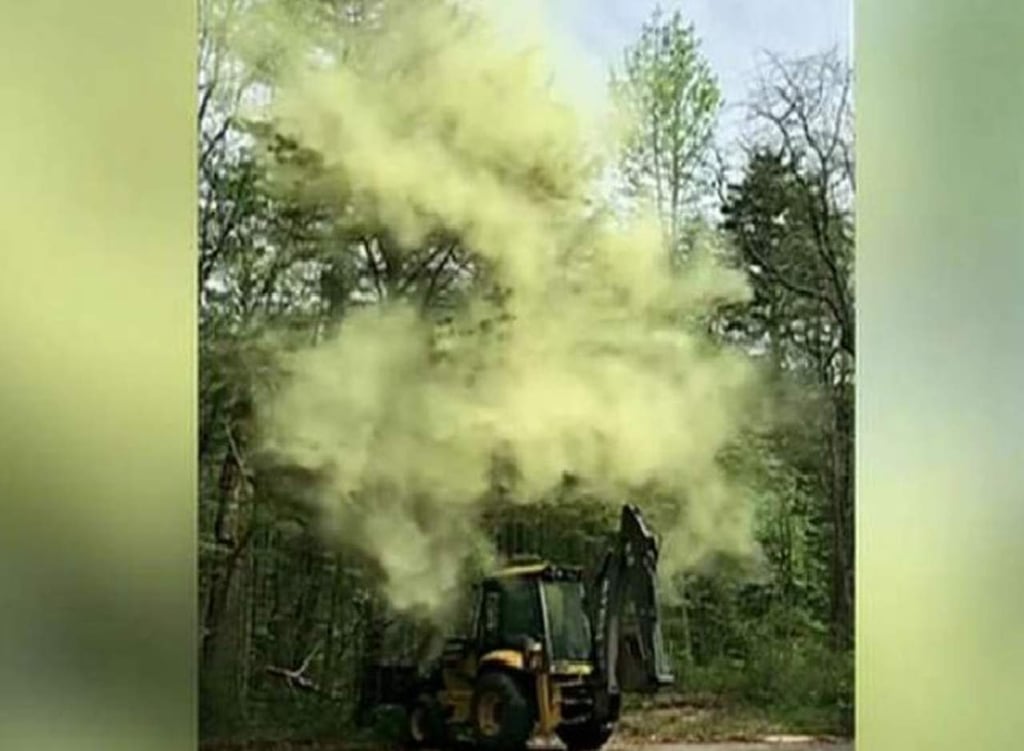 Tormenta de polen provoca escenario ‘apocalíptico’