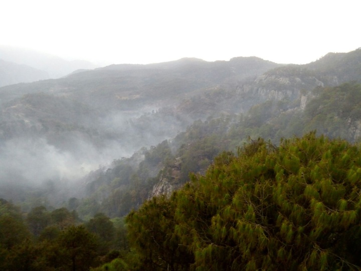 Fuego causa mayor daño que en 2017