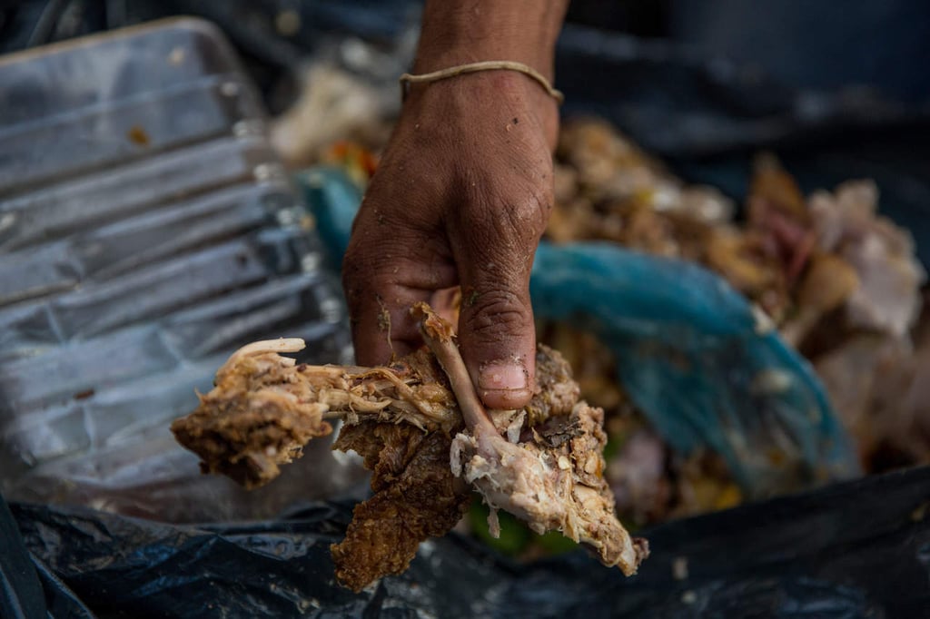 México desperdicia 20 millones de toneladas de alimentos al año