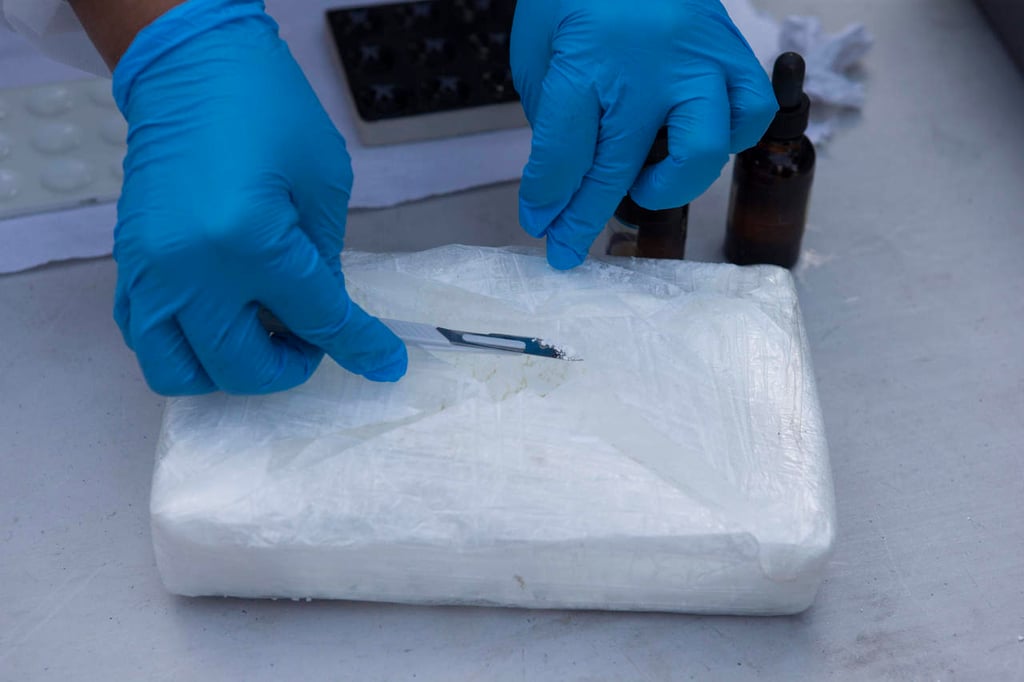 Decomisan 300 kilos de cocaína en Michoacán