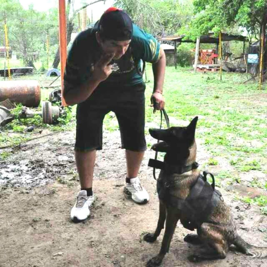 Buscan equipar con binomios caninos a Protección Civil de GP