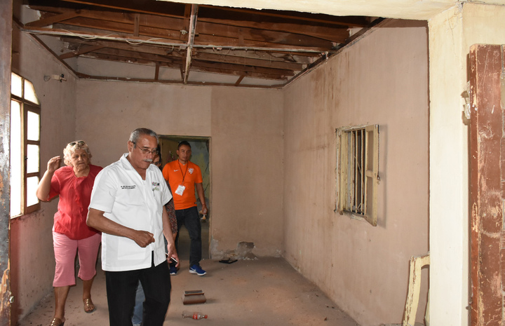 Fauna nociva, un riesgo para la salud