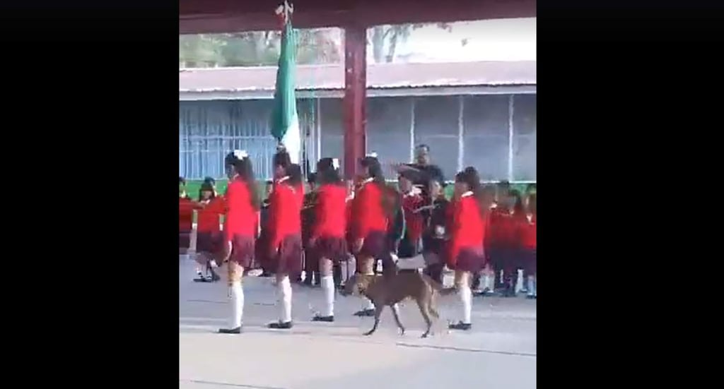 VIRAL: Perro cuida la Bandera Nacional junto a escolta