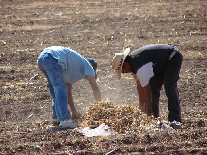 Perciben abandono y pobreza en el campo