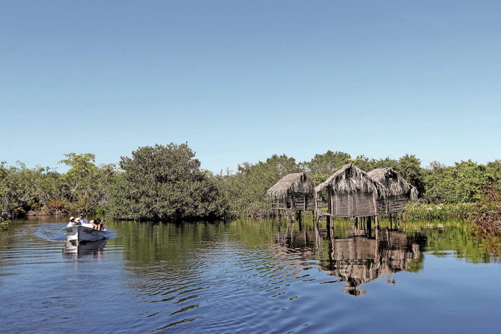 La Tovara, un santuario mexicano