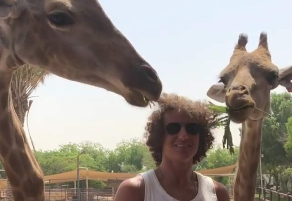 VIDEO: Jirafa por poco se come el cabello de un futbolista brasileño