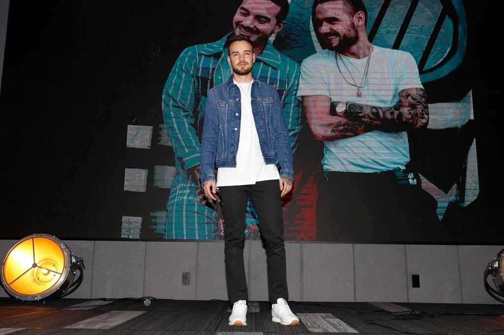 Payne impulsa carrera en solitario sin descartar a One Direction