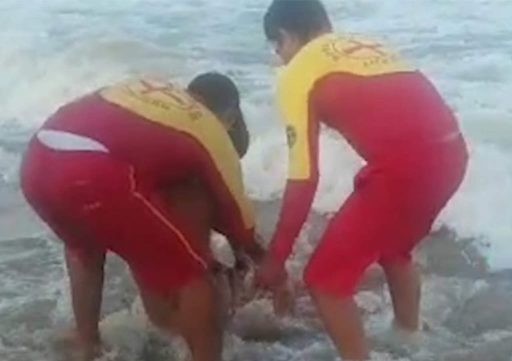 VIDEO: Rescatan a joven tras ser atacado por tiburón
