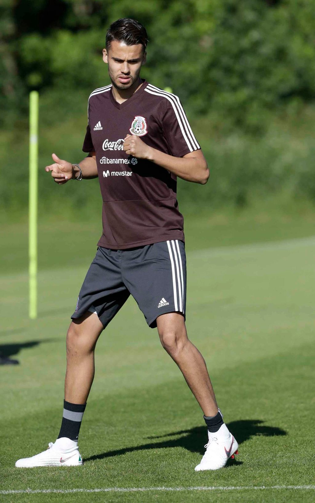 Diego Reyes se someterá a estudios y es duda para Rusia 2018