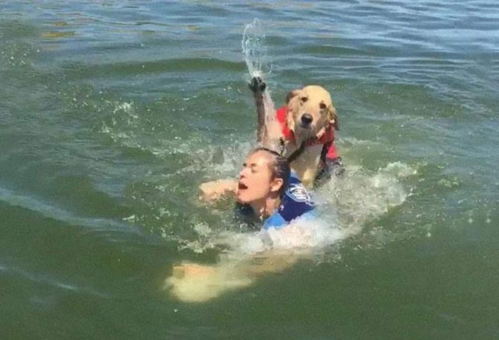 Perro intenta 'ahogar' a su dueña y se vuelve viral