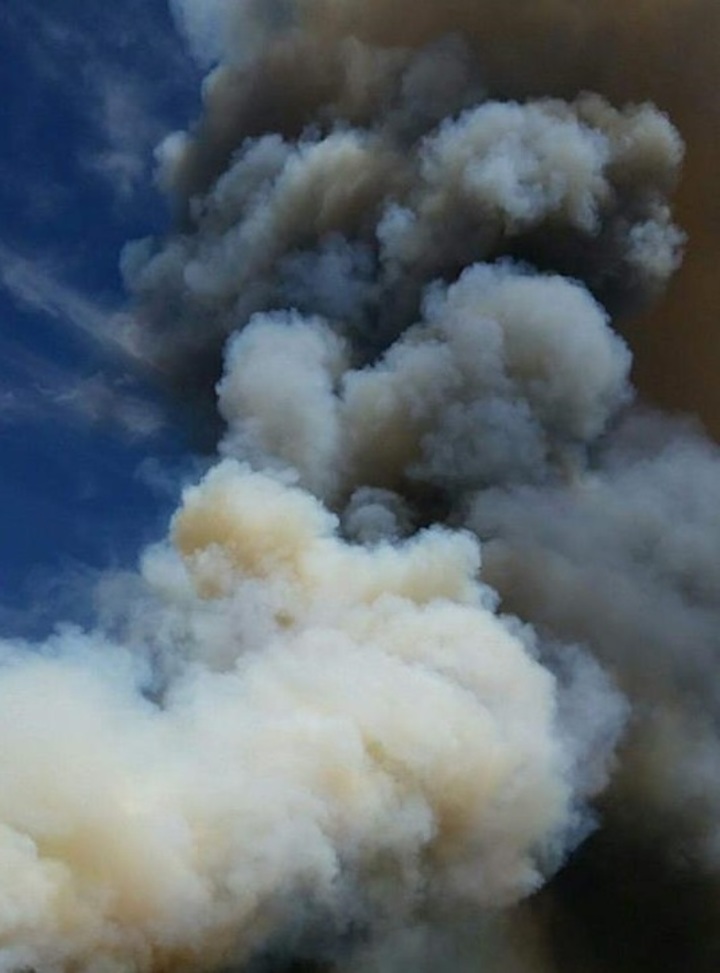 Lluvias acabaron con los incendios forestales