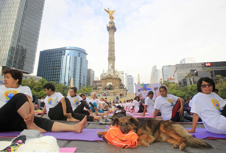 Celebrarán el Día Internacional del Yoga