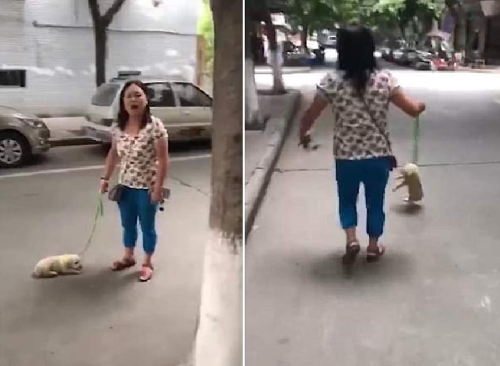 Mujer que arrastra a su perro en la calle genera controversia