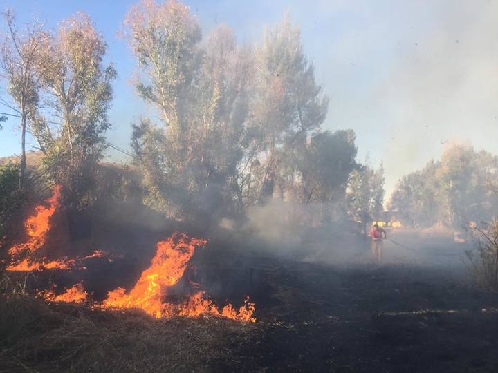 Fuego ha dañado 36 mil hectáreas