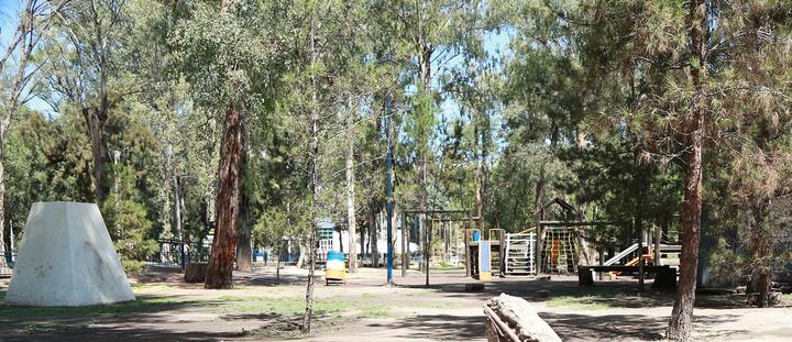 Descartan cortar árboles del Parque Guadiana