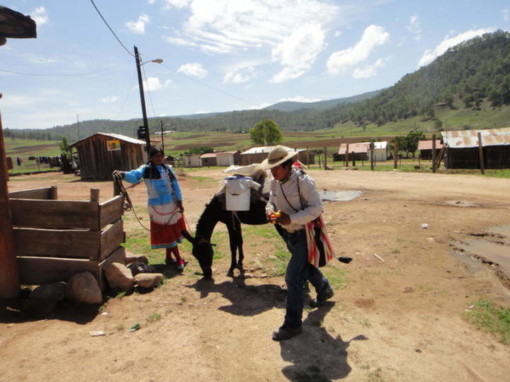 Continúa búsqueda para crear municipio indígena en Durango