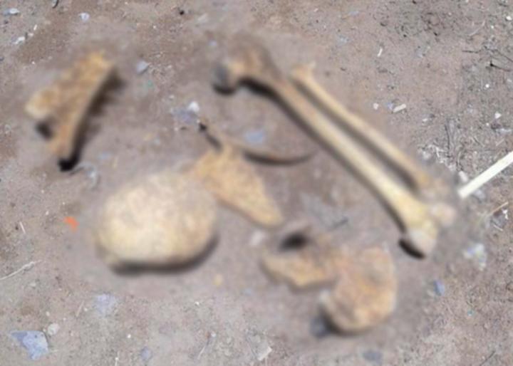 Localizan restos óseos