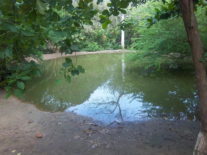 Podrán pasar a la agricultura de riego en San José de la Parrilla