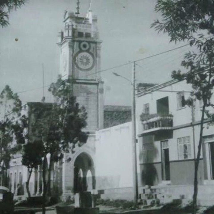 Paloma ¿de dónde vienes?