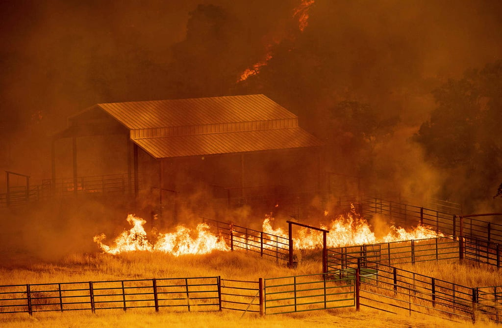 Incendios en California dejan un muerto; destruye 40 edificaciones