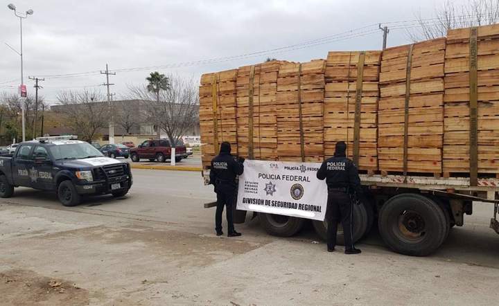Aseguran camión con madera ilegal