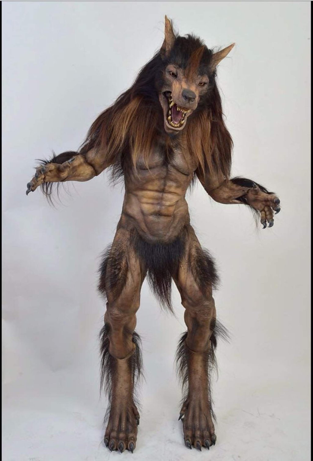 ‘Ni maiz paloma’, niega Del Toro haber hecho la mascota de Lobos BUAP